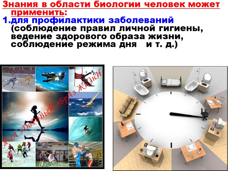 Знания в области биологии человек может применить: для профилактики заболеваний (соблюдение правил личной гигиены,